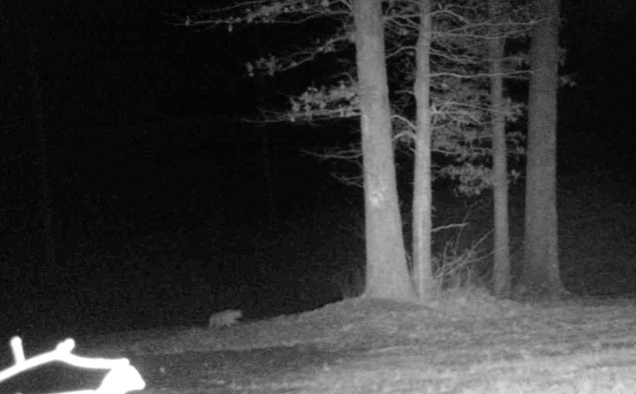 Screen Shot 2020-01-26 at 2.02.05 PM