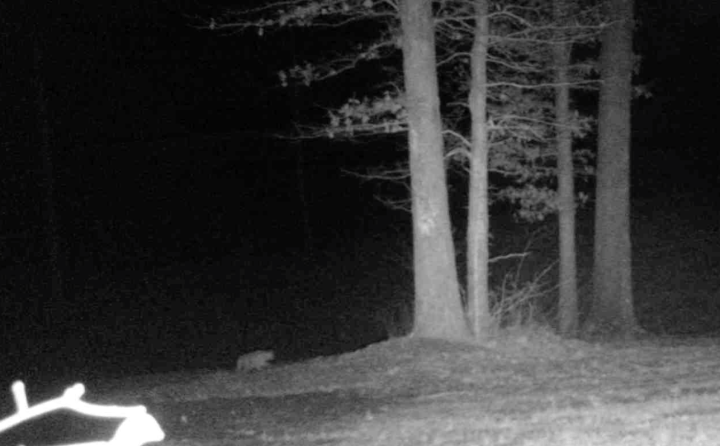 Screen Shot 2020-01-26 at 2.02.05 PM