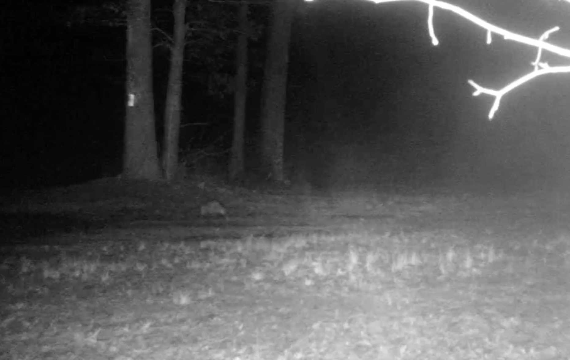 Screen Shot 2020-02-09 at 8.33.41 PM