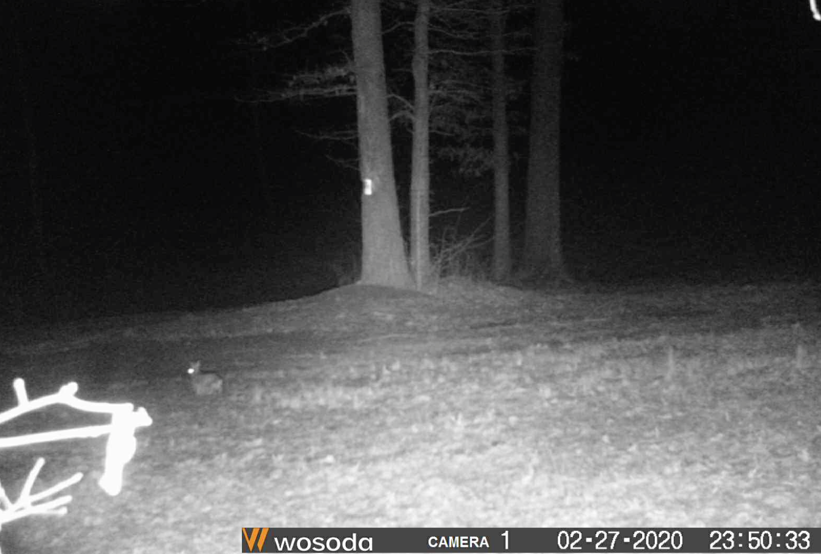 Screen Shot 2020-03-01 at 10.40.05 AM