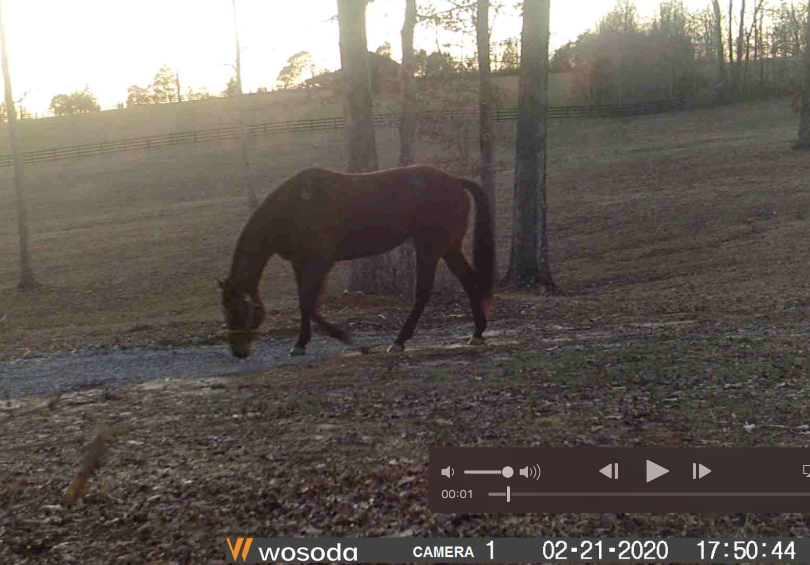 Screen Shot 2020-03-01 at 10.46.48 AM