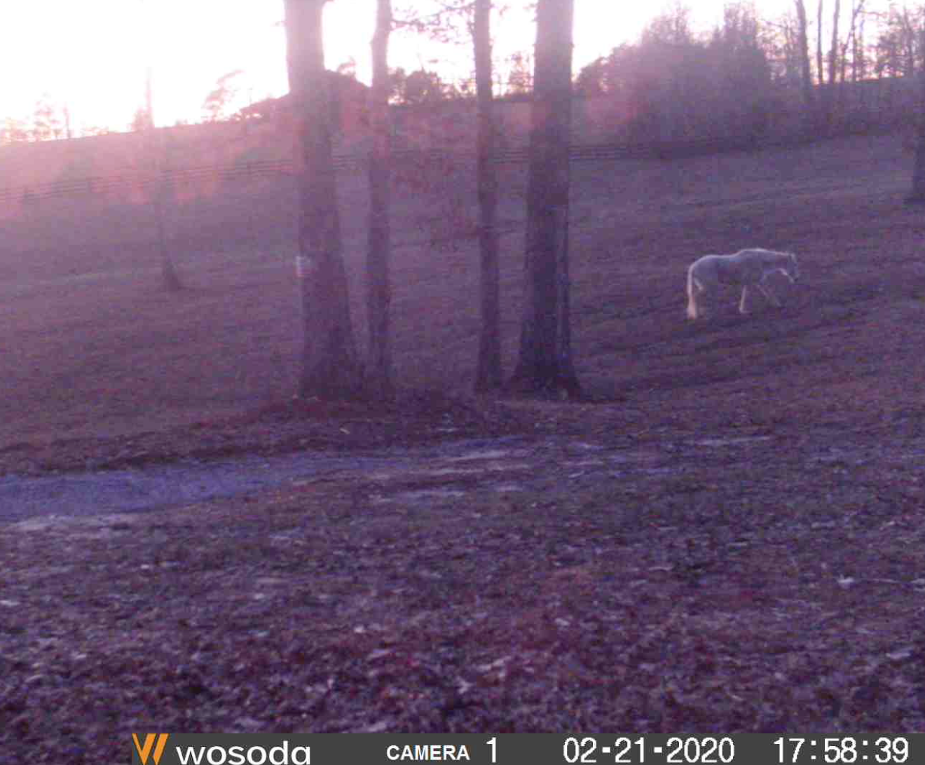 Screen Shot 2020-03-01 at 10.47.32 AM