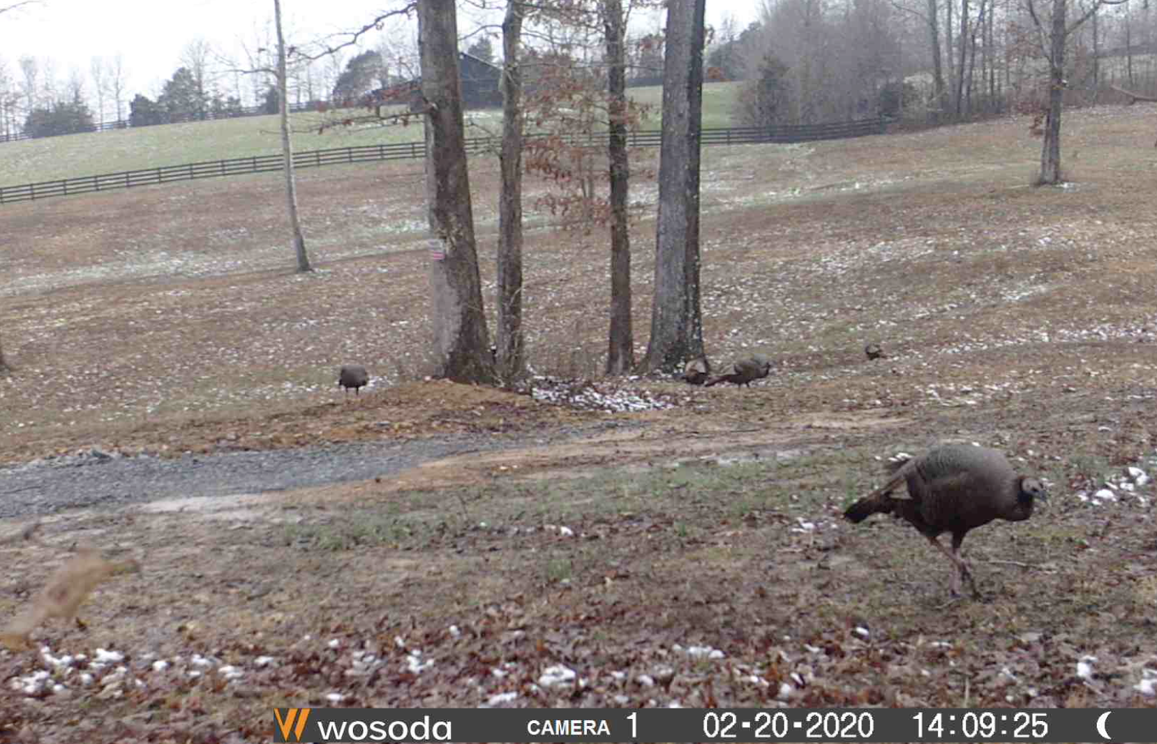 Screen Shot 2020-03-01 at 10.49.27 AM