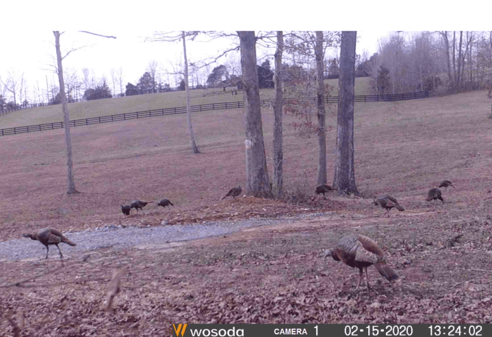 Screen Shot 2020-03-01 at 10.53.44 AM