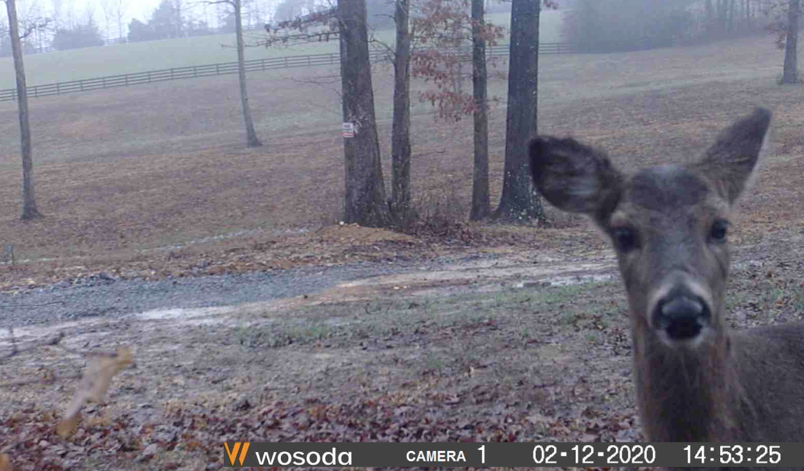 Screen Shot 2020-03-01 at 10.55.16 AM