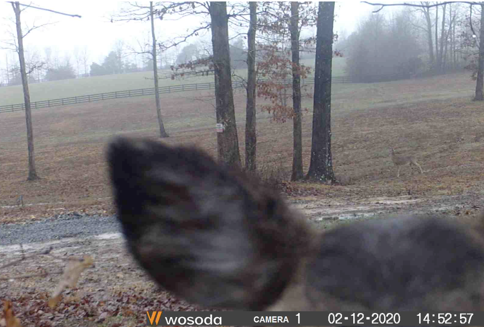 Screen Shot 2020-03-01 at 10.56.37 AM