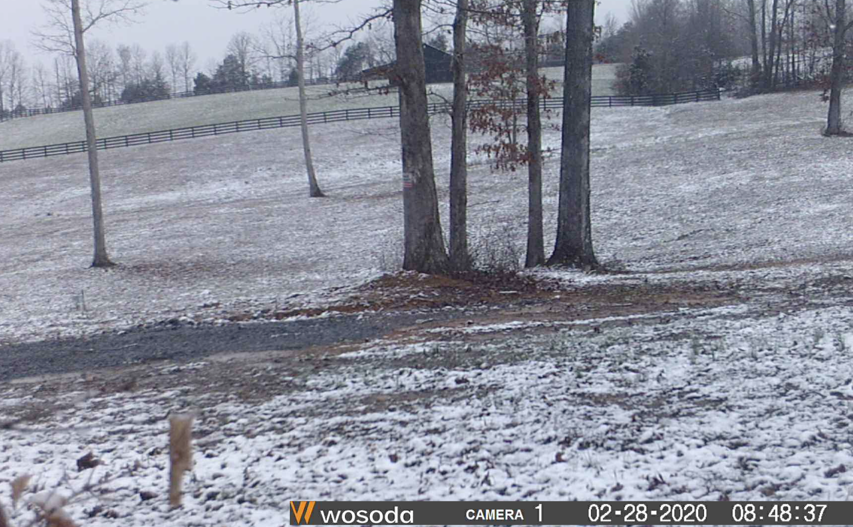 Screen Shot 2020-03-01 at 11.48.23 AM