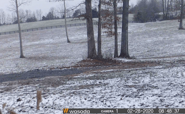 Screen Shot 2020-03-01 at 11.48.23 AM