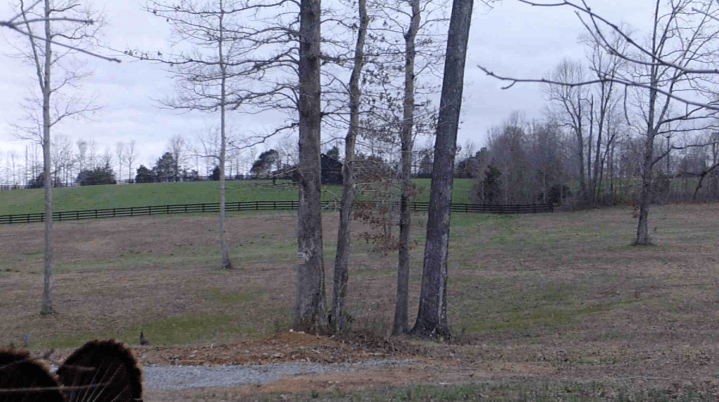 Screen Shot 2020-03-15 at 3.37.14 PM