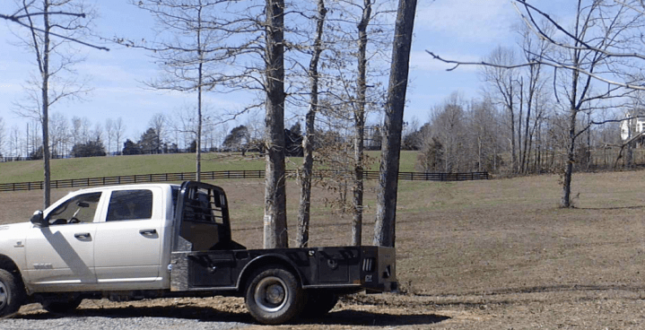 Screen Shot 2020-03-15 at 3.43.15 PM