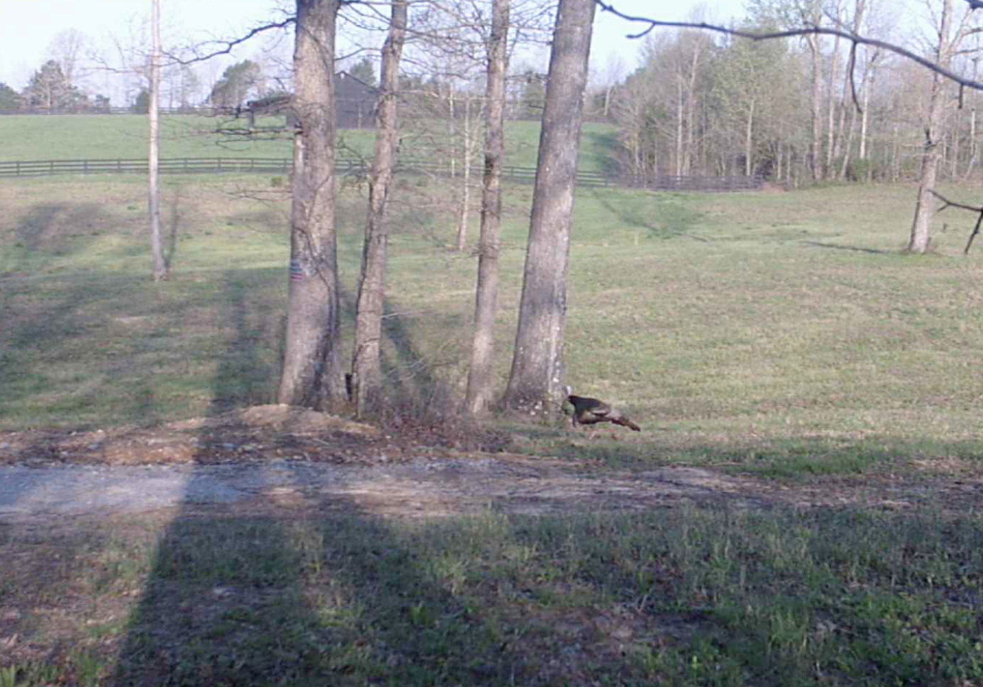 Screen Shot 2020-04-08 at 6.52.44 PM