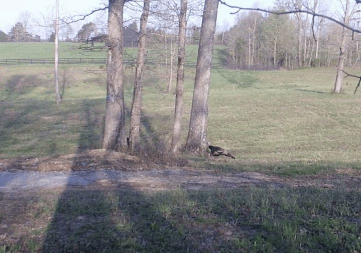 Screen Shot 2020-04-08 at 6.52.44 PM