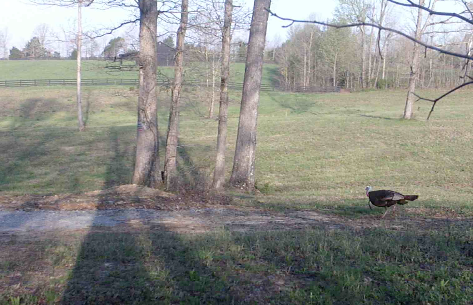 Screen Shot 2020-04-08 at 6.53.39 PM