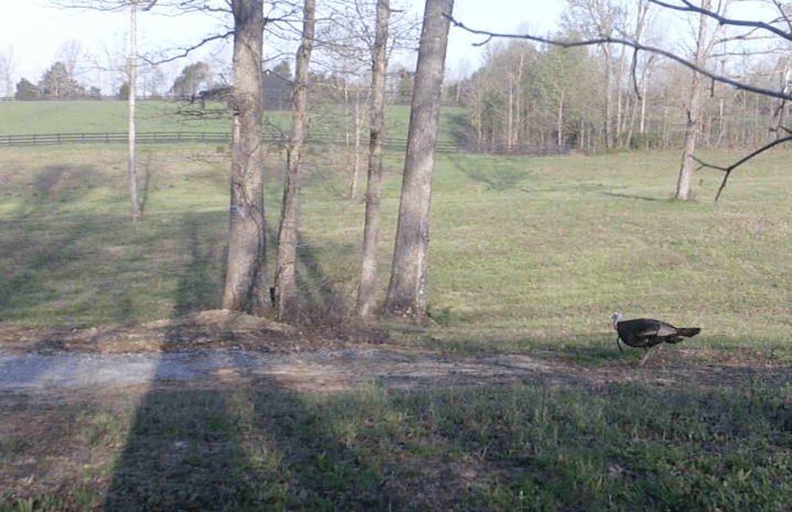 Screen Shot 2020-04-08 at 6.53.39 PM