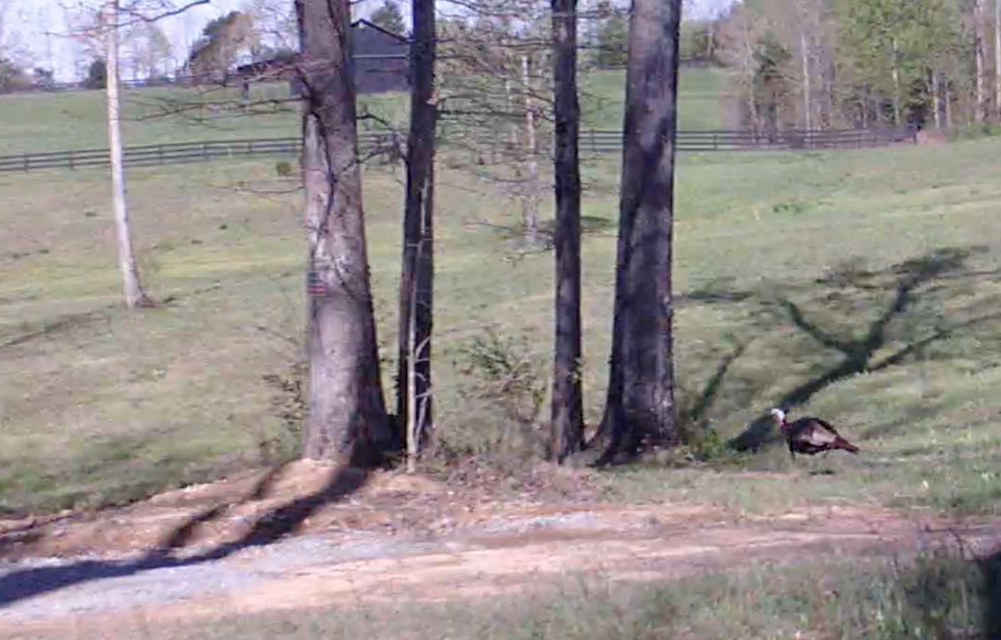 Screen Shot 2020-04-12 at 8.38.22 AM