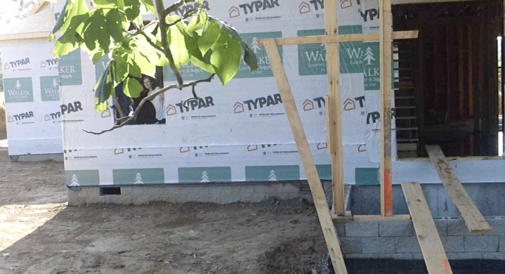 Screen Shot 2020-07-11 at 1.20.05 PM